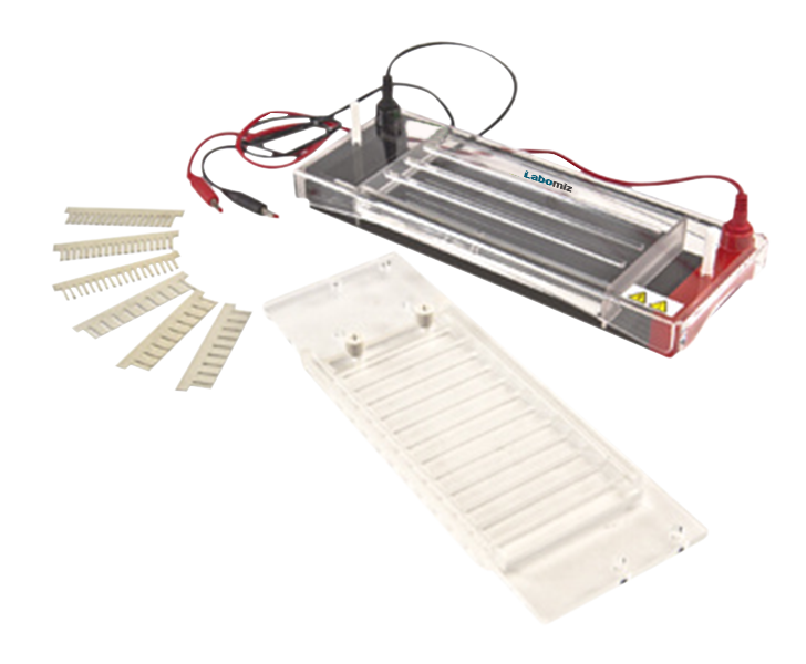 Rapid Electrophoresis Unit MREU-1A